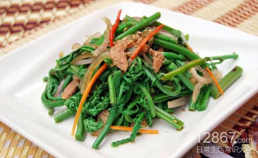 春季食用野菜中毒警示：这些野菜需慎食