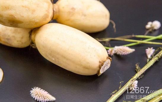秋季6款食物助你养生