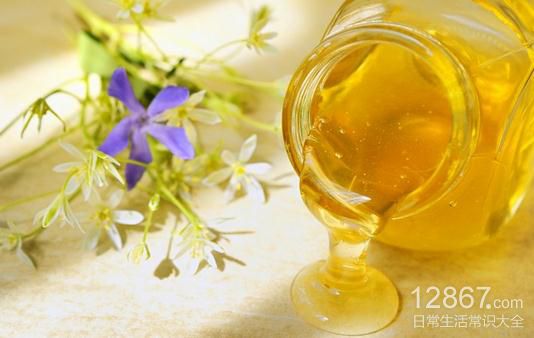 蜂蜜能防過敏的原因與正確食用方法