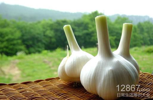 揭秘便宜又健康的食物:7种超级食物与健康吃法