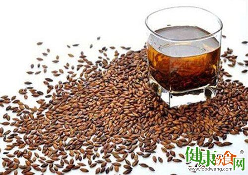 夏日食欲不振?试试这款藿香麦芽茶