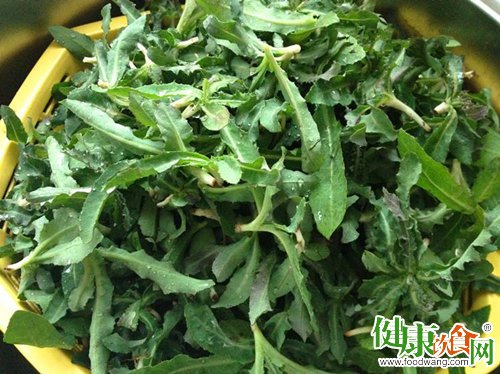 小满过后多吃「苦」:時節飲食的智慧