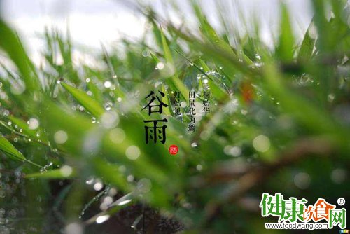 谷雨季节养生应遵循这四个原则