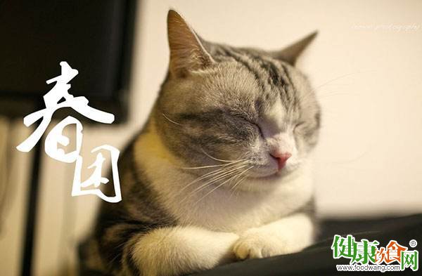 春分飲食指南:少酸多甜清補助春暉