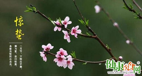 驚蟄養生指南:吃穿住行調理好,一年少往醫院跑