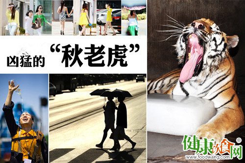 四招轻松应对“秋老虎”,守护健康入秋时