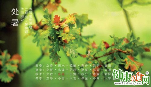 處暑後初秋養生指南：飲食、起居與運動建議