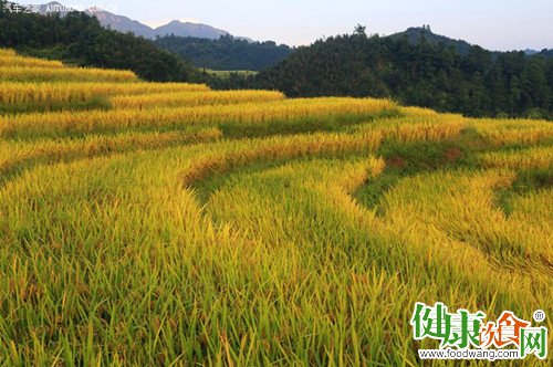 初秋養生指南:防暑與御寒兼顧
