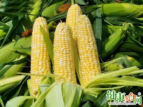 夏日玉米美食时光:6款美味做法分享