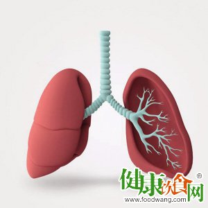 夏季養肺指南：時機與方法
