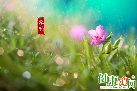 谷雨節氣|練靜功輕松防疾病 3種養生法調理脾胃
