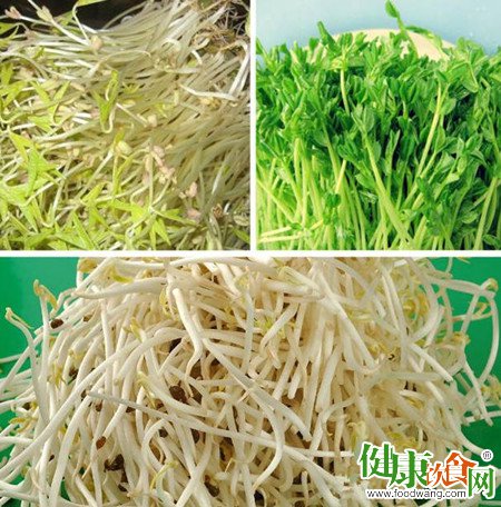春吃芽：各類豆芽的功效與營養