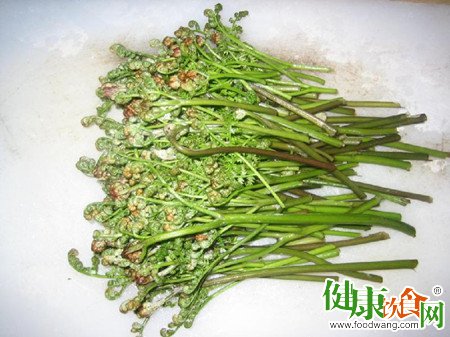野菜雖可口且有藥用價值但須謹慎食用:蕨菜、荠菜、車前草解析