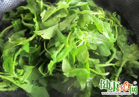 野菜雖可口且有藥用價值但須謹慎食用:蕨菜、荠菜、車前草解析