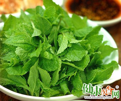 春來薄荷香:薄荷的時令美味與健康吃法