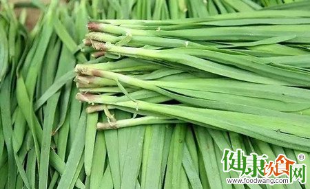 春分養生指南：時令韭菜的營養與食譜