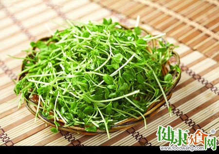 春季养生：豌豆苗护心亮眼