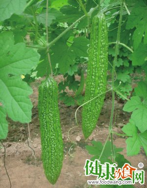 夏天吃什么好?夏季必吃四大经典菜