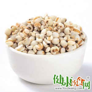 薏米的功效與作用:夏季消暑佳品