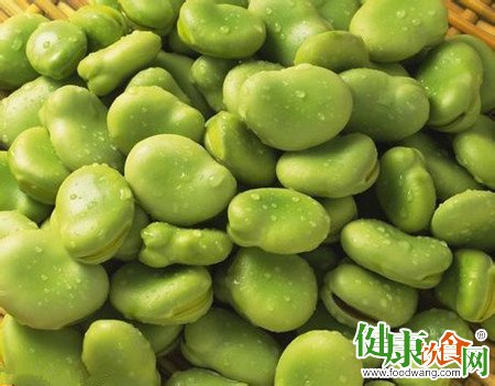 初夏時吃蠶豆的食療養生功效