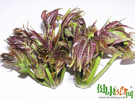 谷雨時節必吃!香椿飯團的清爽做法