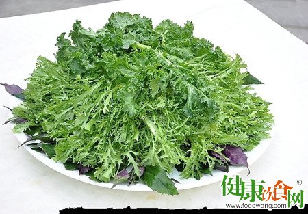春季食用野菜的注意事項與安全指南