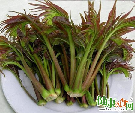 香椿的腌制方法：手把手教你腌香椿芽