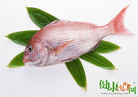 春季進補怎麼吃？推薦多吃魚的幾大理由
