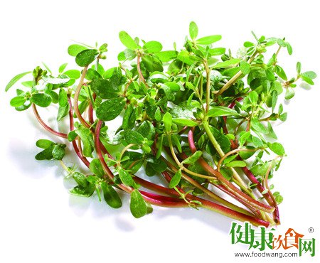 春季多吃野菜可療疾保健