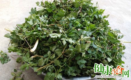 野菜烹調指南：巧用山芹菜、馬齒苋等製作美味佳肴