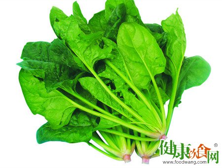 春季食菠菜養陽養肝|推薦兩款滋潤湯方
