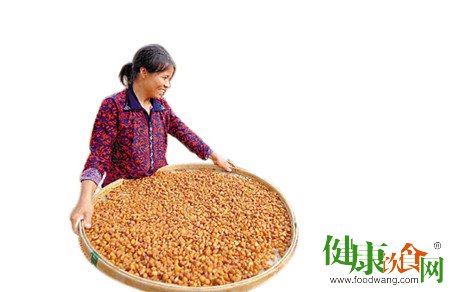 小雪節氣吃什麼？桂圓安神養心補血益脾的食補建議