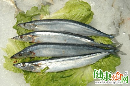 寒露節氣怎麼吃?推薦美味秋刀魚料理