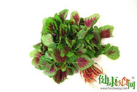 夏日菜單:推薦清爽苋菜,為你補充夏季流失營養