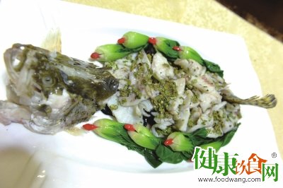 特色養生春菜：香椿桂魚的精準做法與養生功效