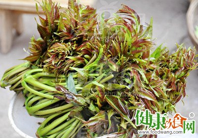 香椿營養價值與春季食用守則