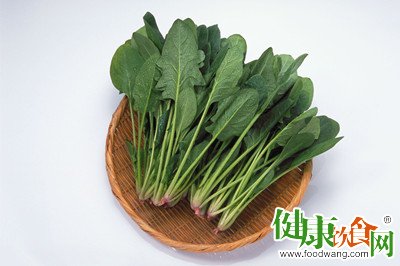 菠菜的養生功效：春季巧用菠菜養生