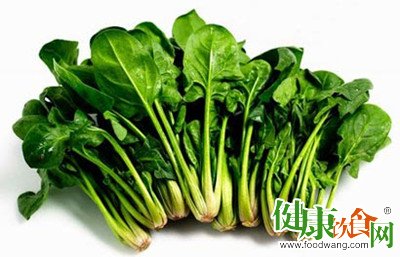 春季食菠菜好處多|營養專家解析其益處與食用注意事項