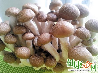 春季飲食指南：4種應季食材與健康功效