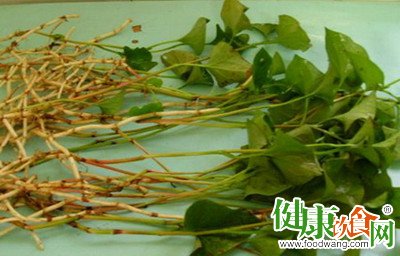 野菜的種類:春季食用多種野菜的健康益處