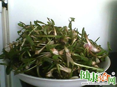 野菜的種類:春季食用多種野菜的健康益處