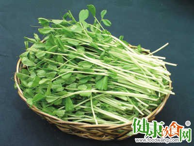 雨水節氣後多食豆苗好處多|春天清熱祛火、滑潤助排便