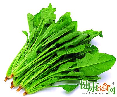 春季食補優選:菠菜的營養與食用建議