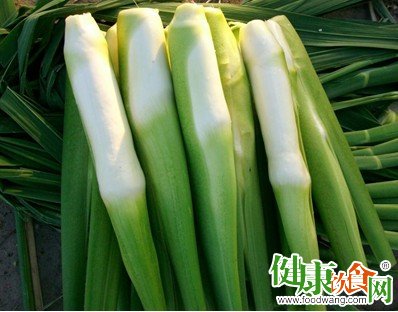 冬季健康飲食：5種益處蔬菜推薦