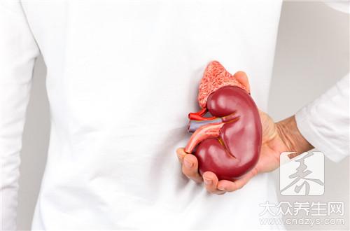 改善腎健康:6大傷腎飲食習慣要改變
