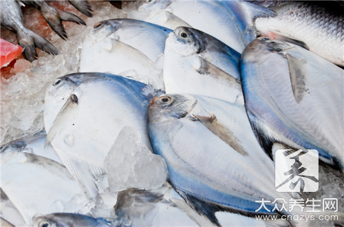 魚不能吃哪些食物?這些禁忌你一定要知道