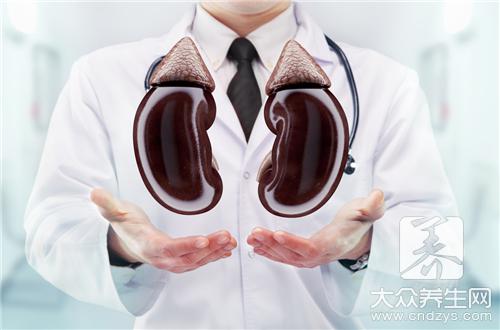 腎結石飲食指南:榴蓮能否食用及推薦食物