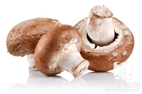 香菇食物相克:哪些不能一起吃?