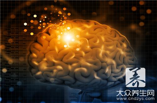 豬腦的利弊：心血管疾病患者需警惕膽固醇