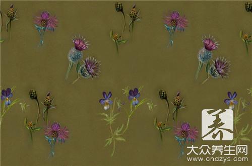 牛蒡的食用禁忌與注意事項